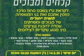 Img 20250212 Wa0001