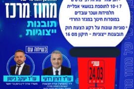 תובנות ייצוגיות 24.3