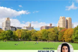 התחדשות עירונית כוללת 01