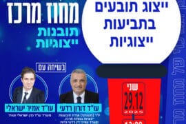 תובנות ייצוגיות 29.12.25