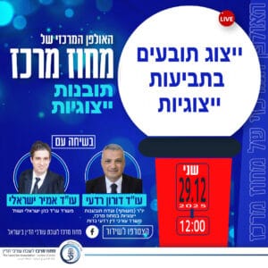 תובנות ייצוגיות 29.12.25