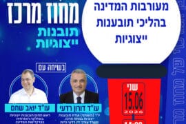 תובנות ייצוגיות 15.6.26