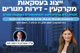 ייצוג עסקאות 1