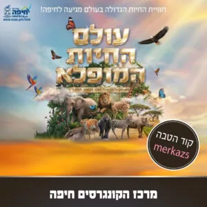 עולם החיות המופלא קוד