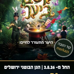 קסם ביער קוד