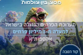 תערוכת הפרחים קוד